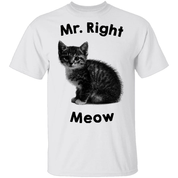 Mr. Right Meow T-Shirt CustomCat