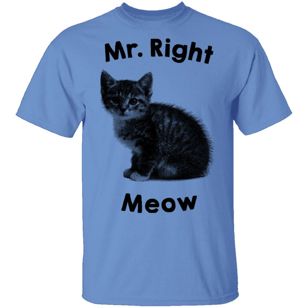 Mr. Right Meow T-Shirt CustomCat