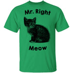 Mr. Right Meow T-Shirt CustomCat