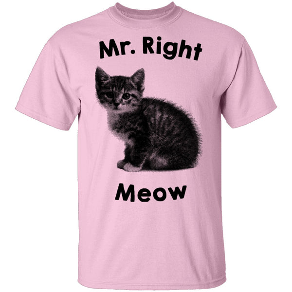 Mr. Right Meow T-Shirt CustomCat