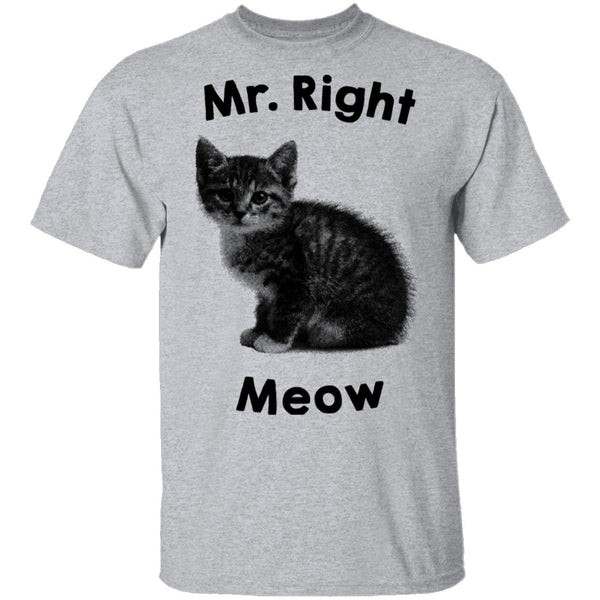 Mr. Right Meow T-Shirt CustomCat