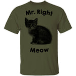 Mr. Right Meow T-Shirt CustomCat