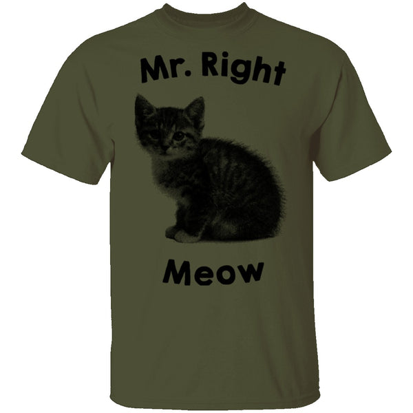 Mr. Right Meow T-Shirt CustomCat