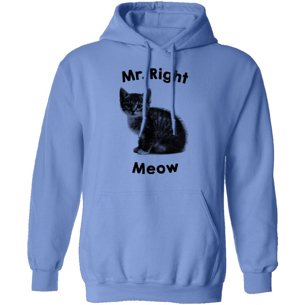 Mr. Right Meow T-Shirt CustomCat