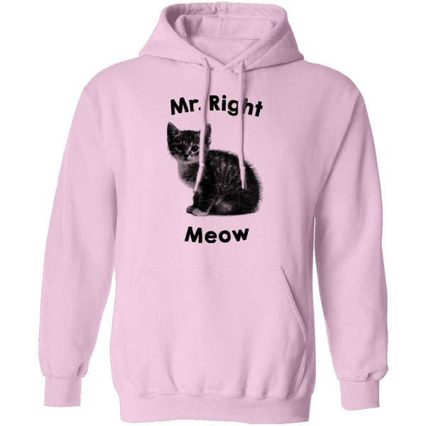 Mr. Right Meow T-Shirt CustomCat