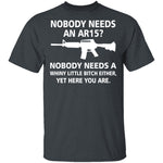 Nobody Needs An AR15 T-Shirt CustomCat