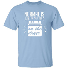 Normal Is Just A Setting On The Dryer T-Shirt
