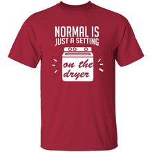 Normal Is Just A Setting On The Dryer T-Shirt