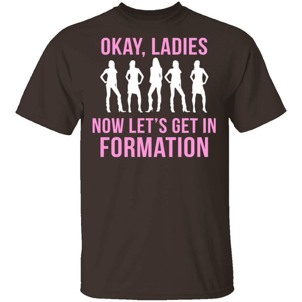 Okay, Ladies Now Lets Get In Formation T-Shirt CustomCat