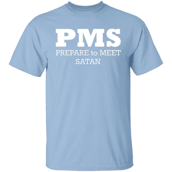 PMS T-Shirt CustomCat