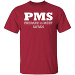 PMS T-Shirt CustomCat