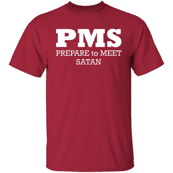 PMS T-Shirt CustomCat