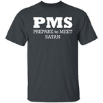PMS T-Shirt CustomCat