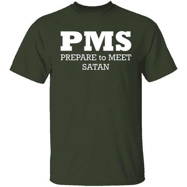 PMS T-Shirt CustomCat
