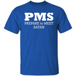PMS T-Shirt CustomCat