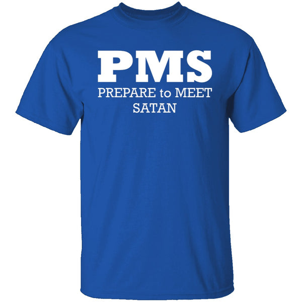 PMS T-Shirt CustomCat