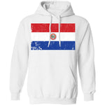 Paraguay T-Shirt CustomCat