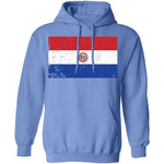 Paraguay T-Shirt CustomCat