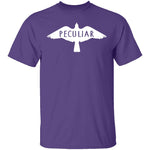 Peculiar T-Shirt CustomCat