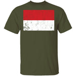 Poland T-Shirt CustomCat