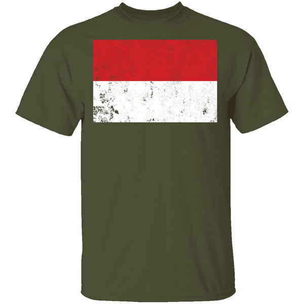 Poland T-Shirt CustomCat