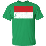 Poland T-Shirt CustomCat