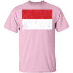 Poland T-Shirt CustomCat