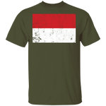 Poland T-Shirt CustomCat