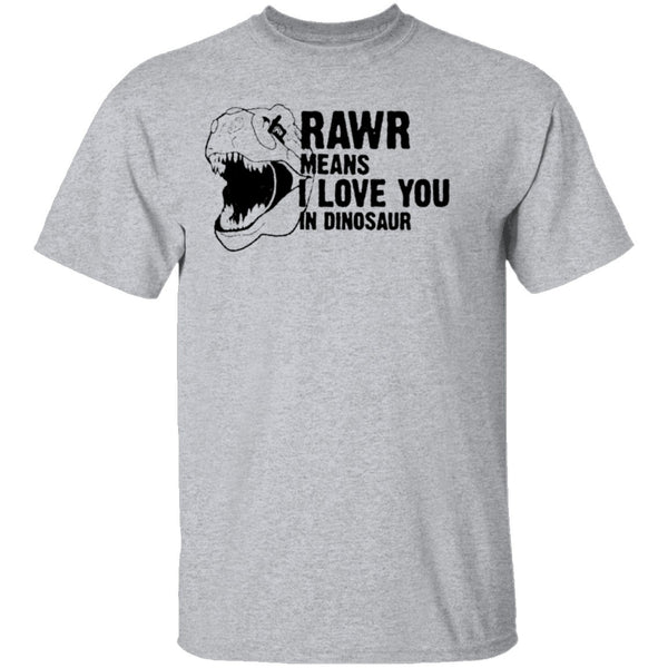 Rawr Means I Love You In Dinosaur T-Shirt CustomCat