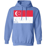 Singapore T-Shirt CustomCat