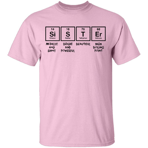 Sister T-Shirt CustomCat