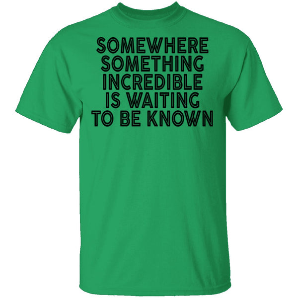 Somewhere Something Incredible Is Waiting To Be Known T-Shirt CustomCat