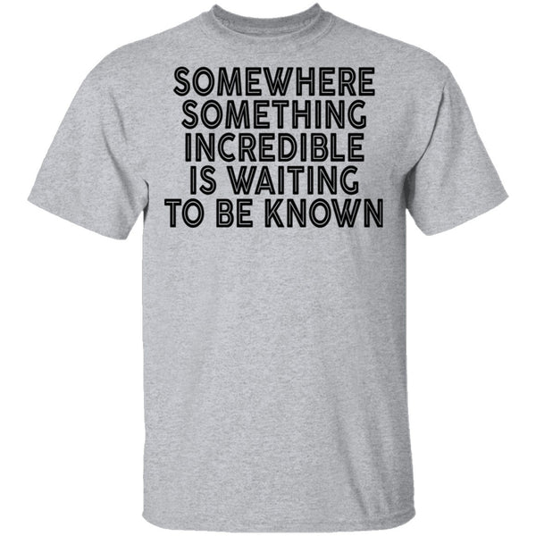 Somewhere Something Incredible Is Waiting To Be Known T-Shirt CustomCat