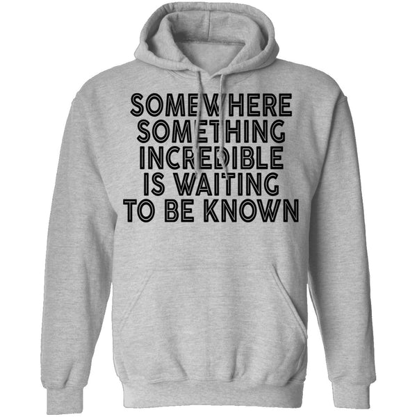 Somewhere Something Incredible Is Waiting To Be Known T-Shirt CustomCat