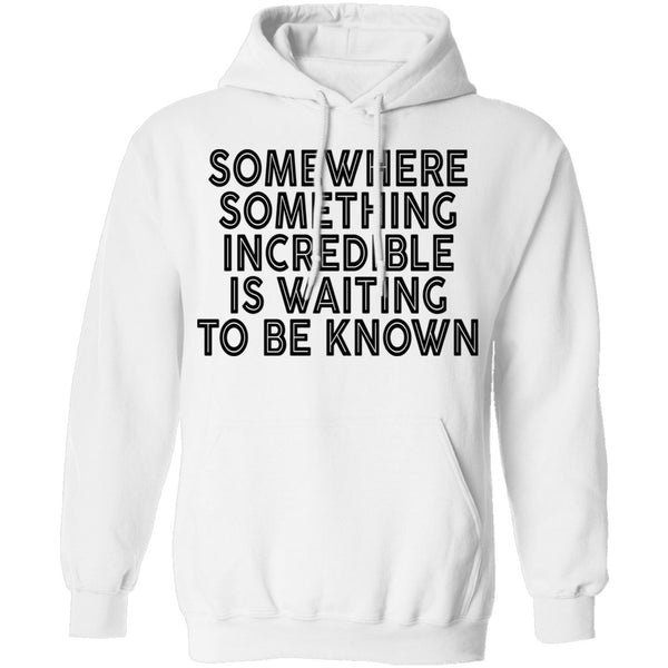 Somewhere Something Incredible Is Waiting To Be Known T-Shirt CustomCat