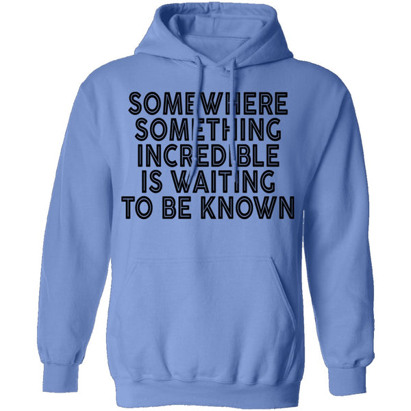 Somewhere Something Incredible Is Waiting To Be Known T-Shirt CustomCat