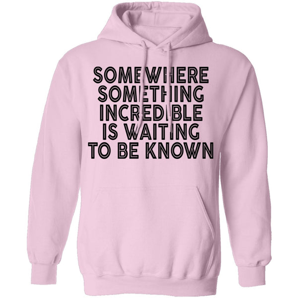 Somewhere Something Incredible Is Waiting To Be Known T-Shirt CustomCat