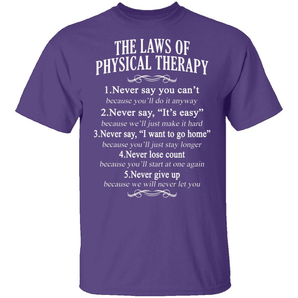 The Laws Of Physical Therapy T-Shirt CustomCat