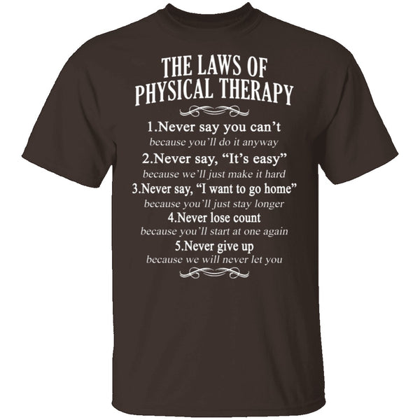 The Laws Of Physical Therapy T-Shirt CustomCat
