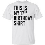 This Is My 17th Birthday Shirt T-Shirt CustomCat
