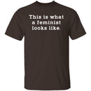 This Is What A Feminist Looks Like T-Shirt CustomCat