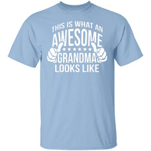 This Is What An Awesome Grandma Looks Like T-Shirt