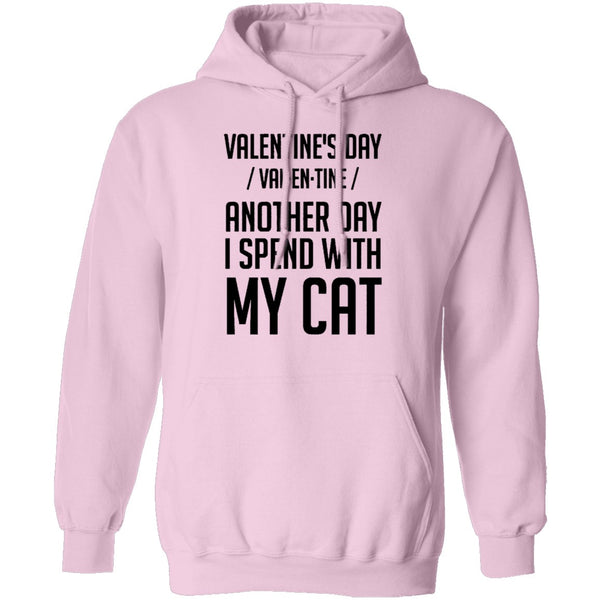 Valentine's Day - Another Day Spent With My Cat T-Shirt CustomCat