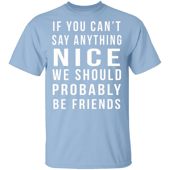 We Should Be Friends T-Shirt CustomCat