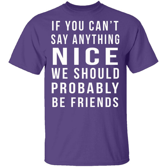 We Should Be Friends T-Shirt CustomCat