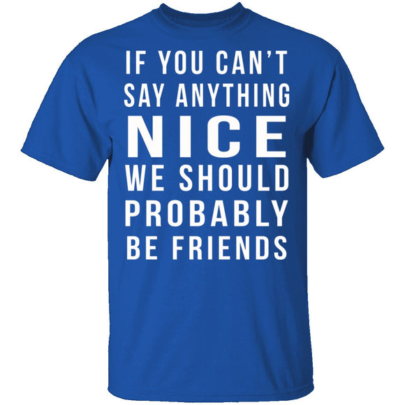 We Should Be Friends T-Shirt CustomCat