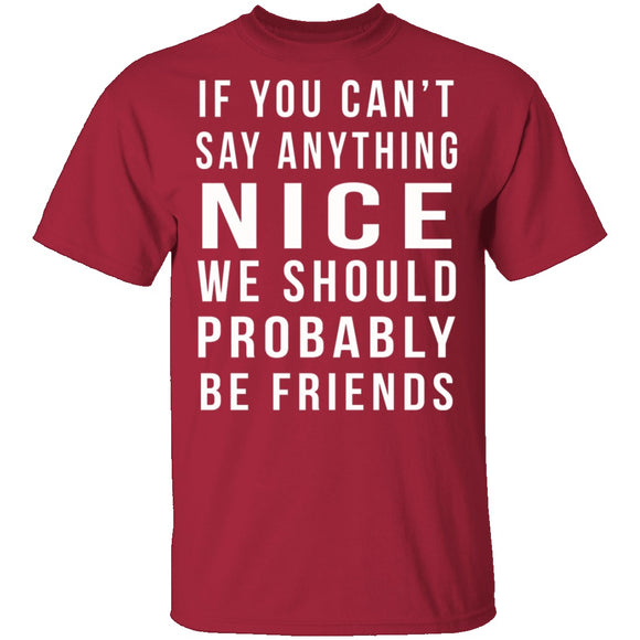 We Should Be Friends T-Shirt CustomCat