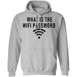 What Is The Wi-Fi Password T-Shirt CustomCat