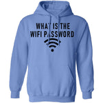 What Is The Wi-Fi Password T-Shirt CustomCat