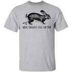 Where Chocolate Eggs Come From T-Shirt CustomCat